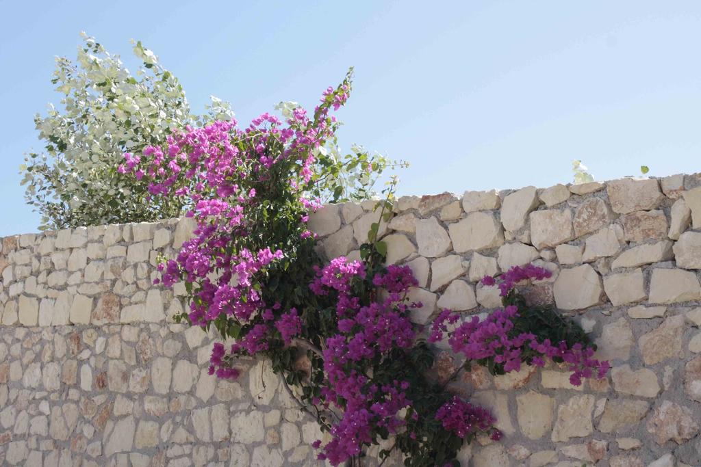 הוילה מראתי Crete View חדר תמונה